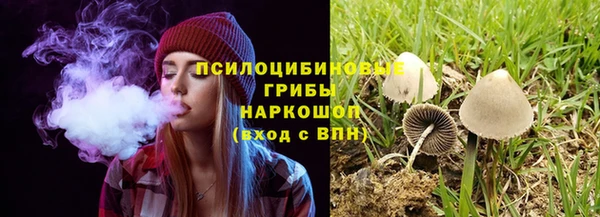 герыч Куйбышев