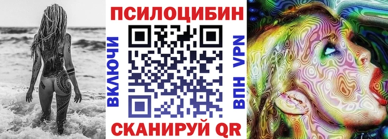 Галлюциногенные грибы Psilocybe KRAKEN зеркало Лодейное Поле